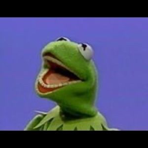 Meet your Posher, Alannah